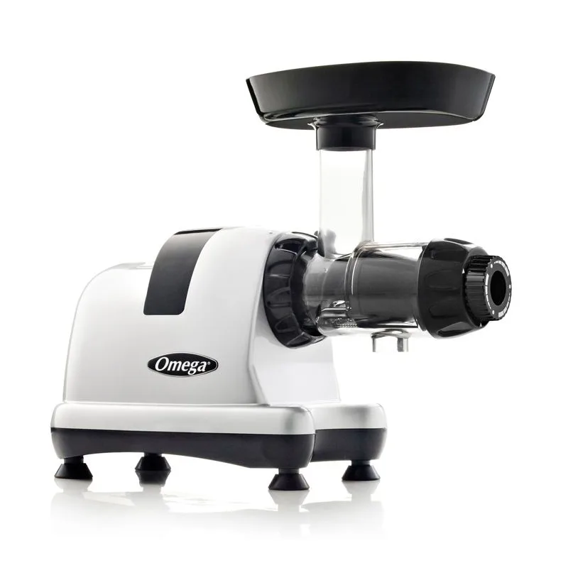 Omega Juicer or high-speed blender